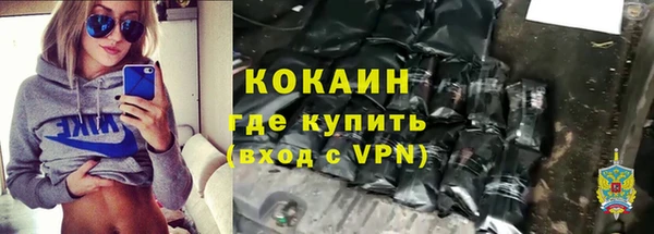 трава Ельня