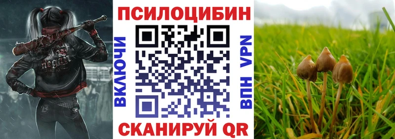 наркошоп  Сысерть  Галлюциногенные грибы Psilocybe 